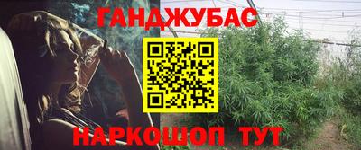 хмурый Сланцы