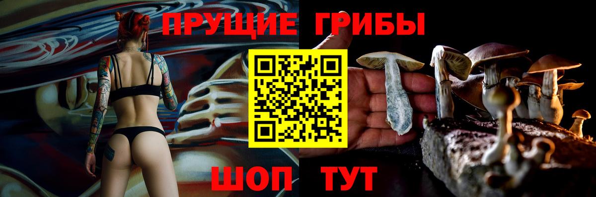 Архангельск  Псилоцибиновые грибы Magic Shrooms  Вход с VPN 
